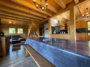 Chalet spacieux avec vue panoramique et confort familial - FR-1-624-11