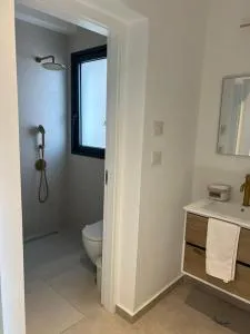 Luxurious Central Raanana Flat - 荷兹利亚