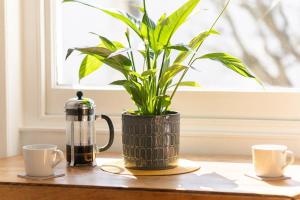 Host & Stay - Alexandra Villas