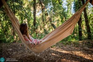 Lodges Le mas cabanids : photos des chambres