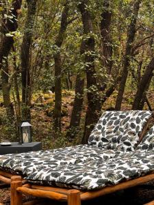 Lodges Le mas cabanids : photos des chambres