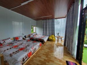 Thông Reo Farm & Homestay