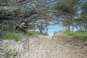 Spacious Coastal Retreat 5 Bdr