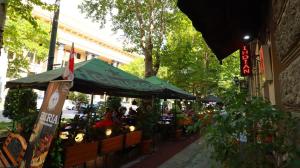 Stylish Apartment on Rustaveli Avenue