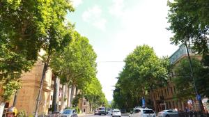 Stylish Apartment on Rustaveli Avenue