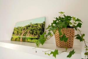 Appartements La Vilaine : photos des chambres