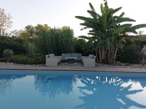 B&B / Chambres d'hotes Cocon de Verdure avec piscine chambre lit king-size 2m : Suite Lit King-Size - Vue sur Piscine