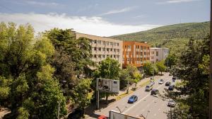 Charming 1BR Apartment In Vake