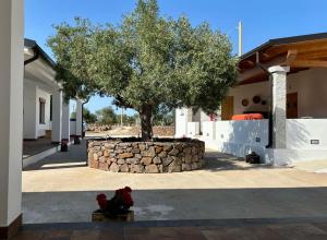 Agriturismo Sa Murta Dorgali img51