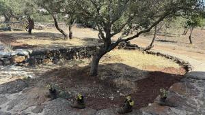 Agriturismo Sa Murta Dorgali img58