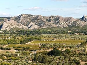 Villas Mas d exception au coeur des Alpilles : photos des chambres