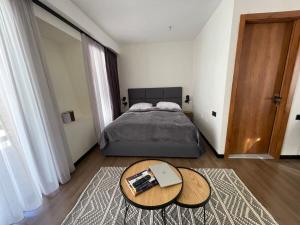 2BR Apartment in Marshall Gudauri Project