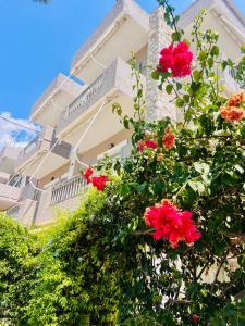 Aloe Luxury Apartments