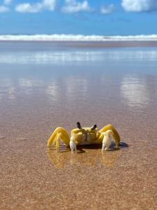 Paraíso em Guarajuba