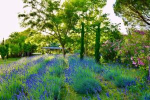 B&B / Chambres d'hotes Bastide Saint-Didier : photos des chambres
