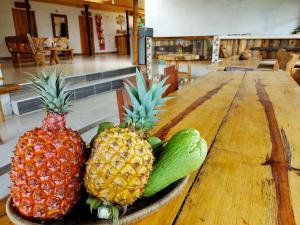 Tierra Activa Alojamiento Eco Rural finca orgánica y agroturística