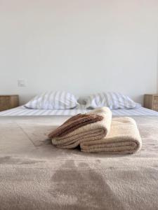 Villas Villa Tobias - Piscine & Petanque - Proche plages : photos des chambres