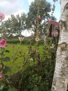 B&B it Arbeidershûske