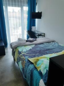 Les Lézards 2 au Soleil Draguignan