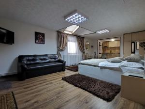 Shelby Accommodation -Adult Only-