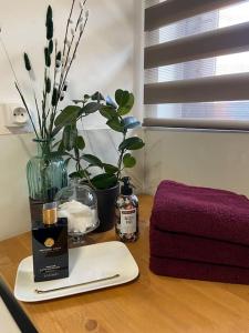 Magnifique maison spa