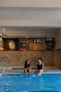 灰狼套房酒店 - 阿什顿