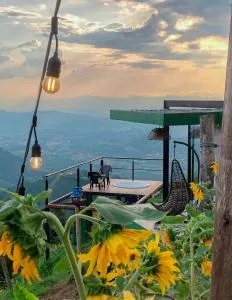 Glamping Ríos Voladores Pereira - Marsella