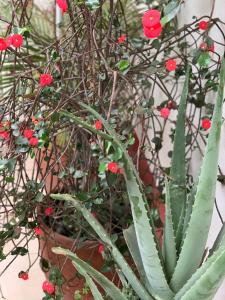 Hostal Familiar Ulua