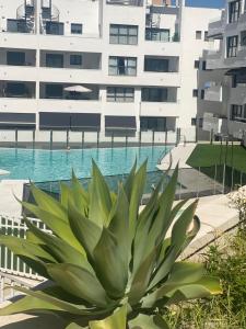 Luxury apartment with pool in Estepona-centre