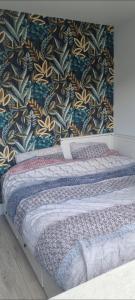 Garden, Jacuzzi, bbq, city centre, 2 bedrooms