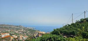 Peaceful Valley house