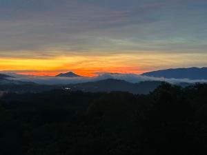 Beyond Views #3323
