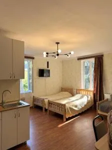 Evergreen Surami Hotel - Kintsvisi