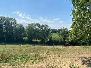 chambre d'hôtes des roseaux - La Forêt-sur-Sèvre