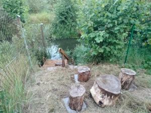 Leśna Chata kuracyjna nad rzeką z sauną w Borach Tucholskich