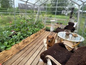 Værelser i historisk hus med sjæl og atmosfære