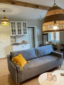 Linnupesa Apartment - Suure-Jaani