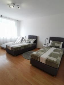 Apartment Tonio - right on the main square