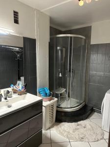 Appartements Spacieux 4 pieces parking prive navette gare-aeroport : photos des chambres