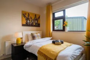 Dublin Suburban Haven - 克劳道金