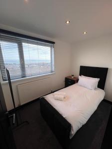 The 145 house in Swansea city centre, Train, Beach, Mumbles, Gower