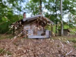 Bjärnhultsgårdens stugor - Tågarp