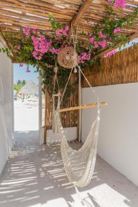 Tortuga LAS COLORADAS