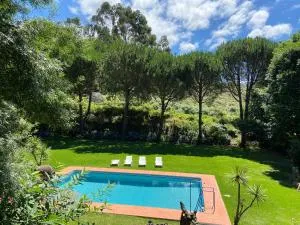 Quinta de Souto Velho - Antas