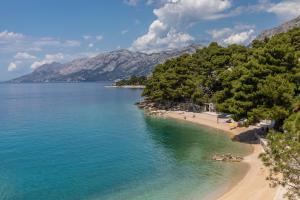 Apartments by the sea Brela, Makarska - 20708 