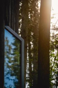 Black Spruce - Orange Door