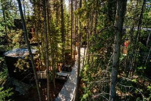 Black Spruce - Orange Door