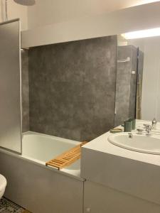 Berger des Pyrénées Pied de pistes avec terrasse