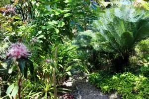 Wild Serenity's Beach Villa - Castries