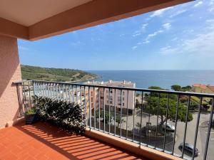 Appartement T3 à Banyuls-sur-Mer, loggia, parking sécurisé - FR-1-309-62